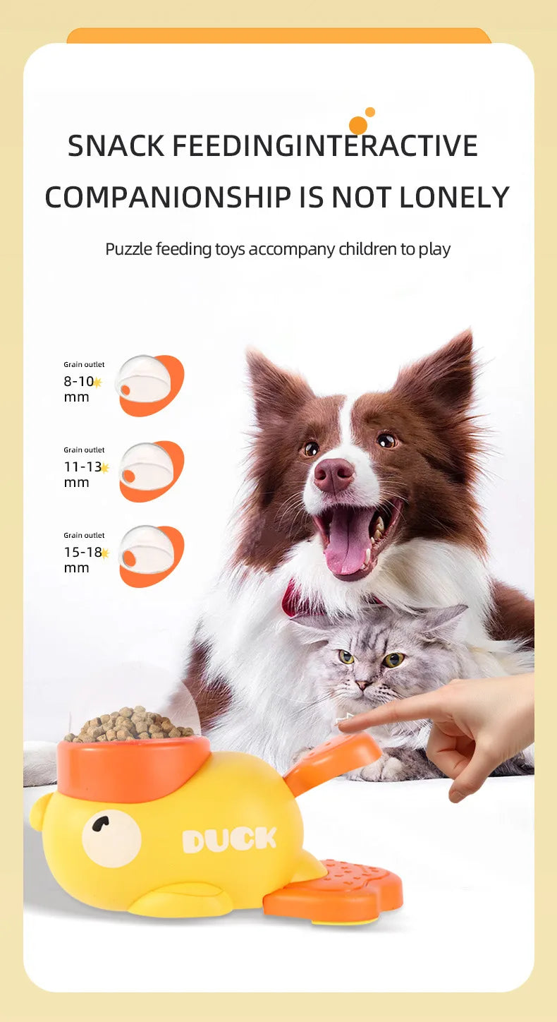 Automatic Pet Feeder