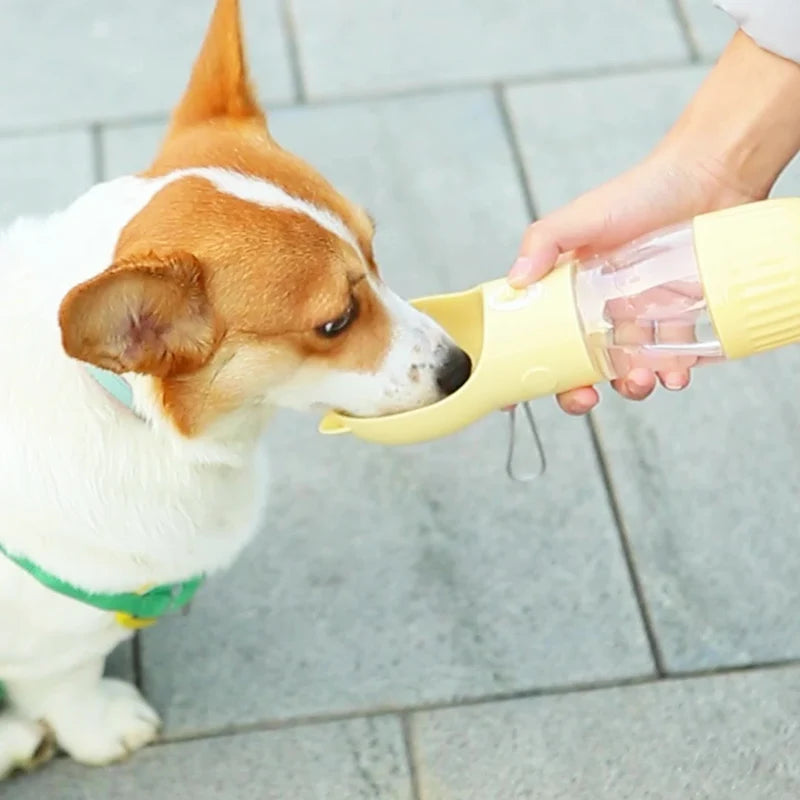 Dog Water Bottle